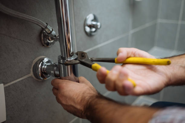 Best Plumbing Services Near Me  in Shelton, NE